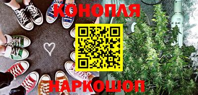PSILOCYBIN Заводоуковск