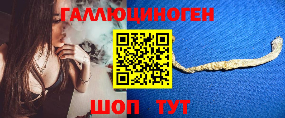 Корсаков  Псилоцибиновые грибы Cubensis  Вход с VPN 