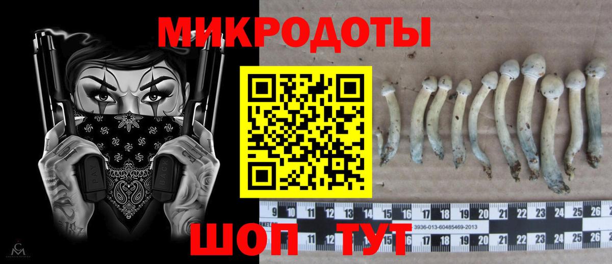 Псилоцибиновые грибы Magic Shrooms Корсаков